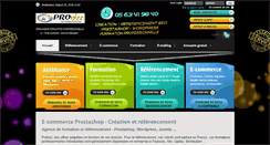 Desktop Screenshot of probizz.fr